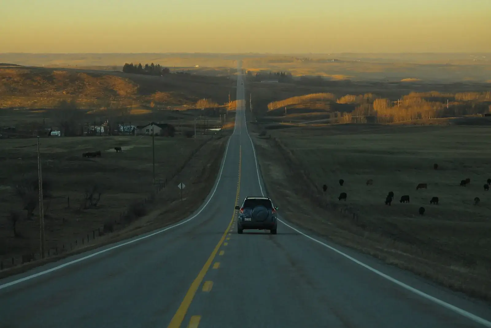 Bearspaw Road in the fall, northwest of Calgary