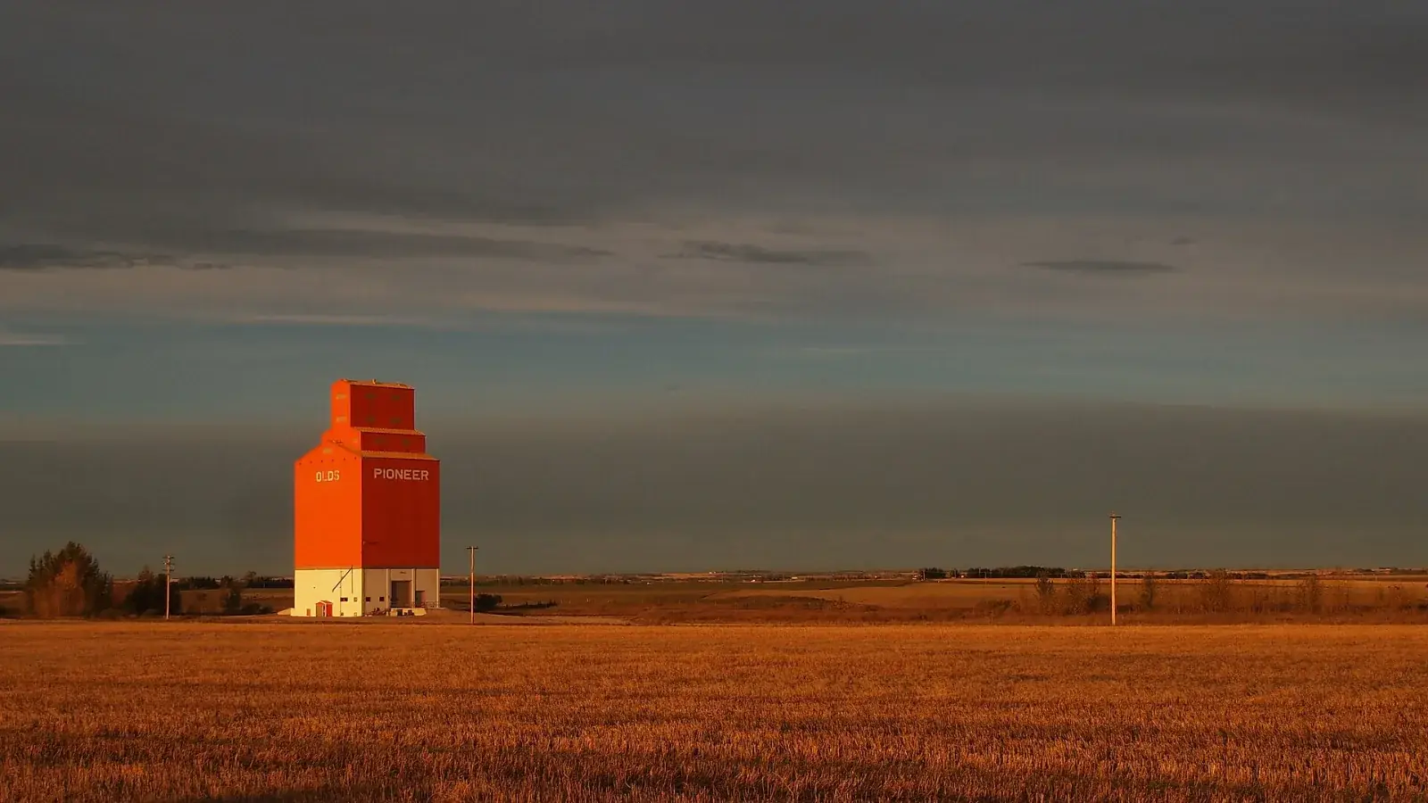Red grain elevator at Olds under an evening sky