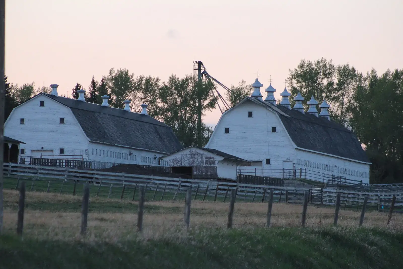 White barns north of Calgary in Rocky View County