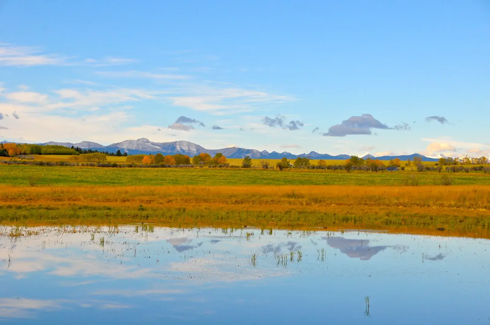 Foothills west of Calgary in Rocky View County with the Rocky Mountains on the horizon